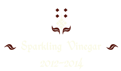 Sparkling Vinegar